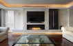Flex 50SS Single Sided Fireplace Insert
